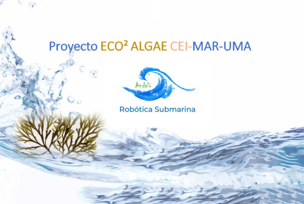 nuestros proyectos - proyectos de investigación