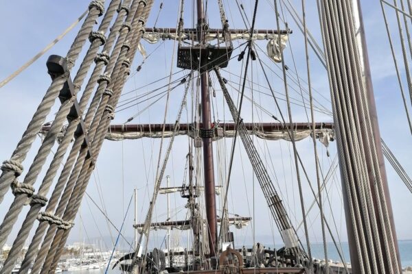 WhatsApp Image 2021-12-23 at 09.54.56 WhatsApp Image 2021-12-23 at 09.54.56