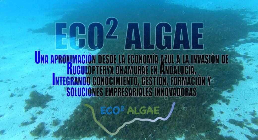 PROYECTO DE INVESTIGACIÓN ECO2 ALGAE