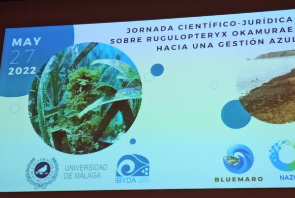 ANDALÚ SEA OBÓTICA SUBMARINA CON EL IBYDA-UMA